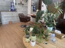 ヘアーデザインエ スポワール(Hair design Espoir)の雰囲気（植物といっしょに癒やされながら施術を行います♪）