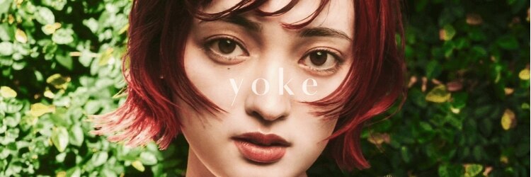 ヨーク(yoke)のサロンヘッダー