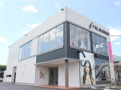 カイノ 福岡志免本店(KAINO)の写真