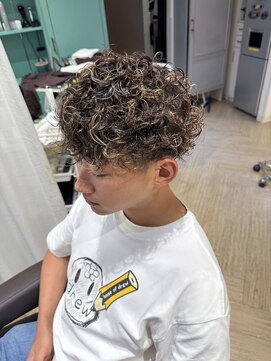 〇ハイライトプードル〇