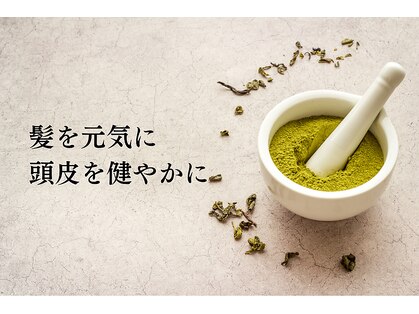 マイフ(Maif)の写真