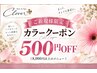 【カラーメニューと組み合わせてご利用可能☆】カラー施術500円引き 