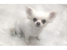 【Ｑ＆Ａ】指名はできますか？