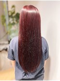【Academy SALON E】cherry red