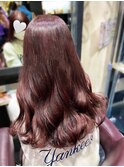 【ダブルカラーがおすすめ】ピンクラベンダー