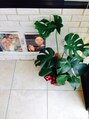ネオリーブリタ たまプラーザ店(Neolive rita)&nbsp;お店の植物にも気を使っています♪