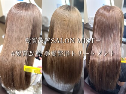 ミストプラス(MIST+)の写真