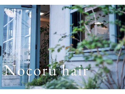 ノコルヘアー(Nocoru hair)の写真