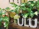 ウゥ(Ulu)の写真