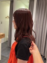 エイゾー(EIZO)&nbsp;レッドカラー/高発色カラー/ニュアンスカラー