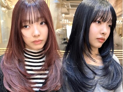 シェリア(Shelia)の写真