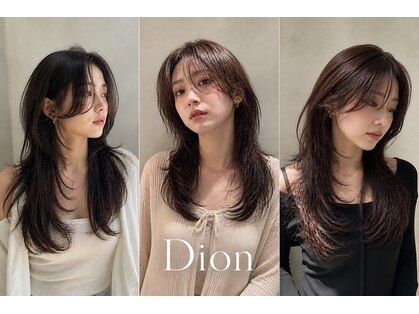 ディオン(Dion)の写真
