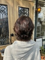 チョコレート(chocolate)&nbsp;ソフトウルフ