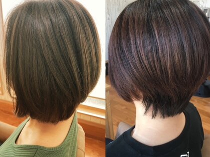 セリシオン(selision)の写真