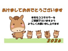 ココデカラー 新発田ウオロク コモ店(COCO de COLOR)