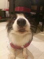 ヘアーアンドスパ アマラ(Hair&Spa amala)&nbsp;愛犬レオ☆シルクハットと蝶ネクタイ