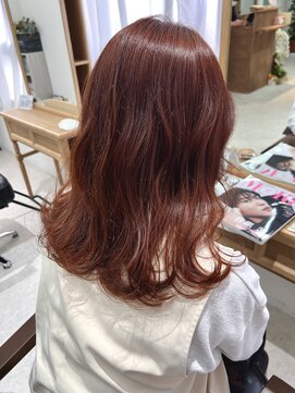 ロム(Rom.) red brown