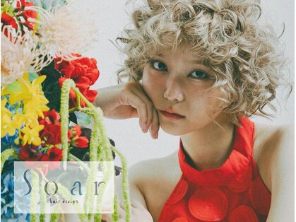 ソア(Soar)の写真