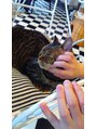 エクルルオブケース 名取駅前東口店(ekururu of Case)&nbsp;動物好きです特に猫好きです！