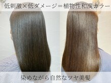 ドルーチェ(Doluce)の雰囲気(低刺激&低ダメージな植物性和漢カラー!自然なツヤがでます!)