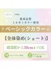 新規【白髪/全体】　ベーシックカラーのみ￥3130～→2640～