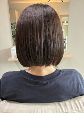 本と南風 guest design