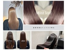 ミントリーフ 田中店(Mint leaf)