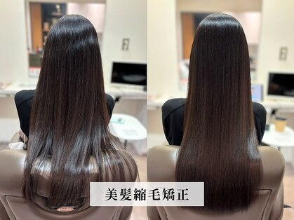 カミケンガレリア(kamiken. galleria)の写真