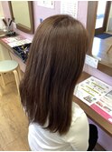 全体フルコース