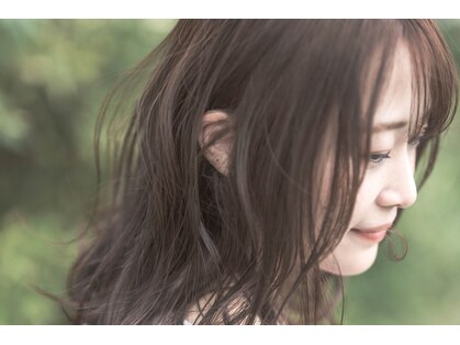 メッツァ(metsa)の写真