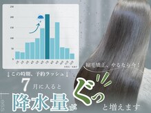 レス(Less)の雰囲気（今年は早めの縮毛矯正がオススメ！一緒に艶髪を目指しましょう♪）