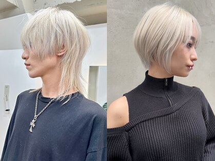 セルン(cerne)の写真