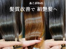 ベアーズ1