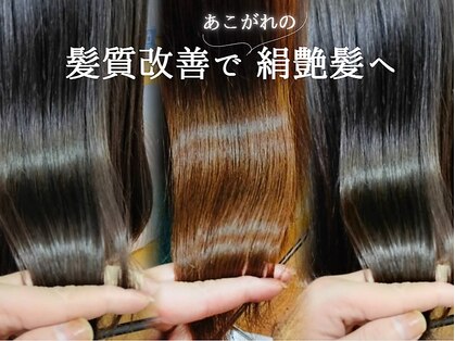 ベアーズ1の写真