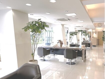 ラック 鎌倉店 (LUCK)の写真