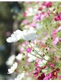 ピカソ フォルティ(picasso forti) 写真撮りに行ったりします!