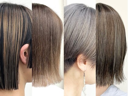 イシュ(ish.)の写真