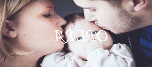 『顧客様限定』当日メニューを決めれます