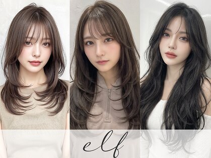 エルフ(elf)の写真