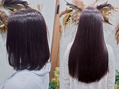 クルリ(Kururi)の写真