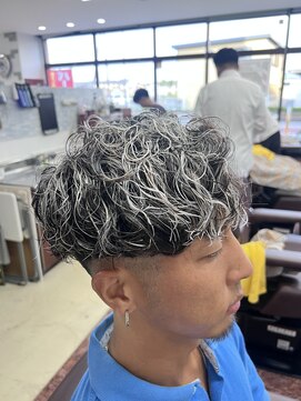 サラ HAIR&MAKE SALA 相模大塚店 ホワイトメッシュ