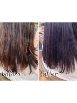 新規導入！ヘアポテンツァトリートメントで癖を抑制◎[円山公園駅徒歩5分]