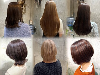 ルート(root)の写真