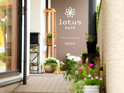 ロータスヘアー(lotus HAIR)の写真