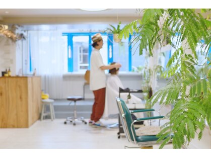 ターミナル(TERMINAL)の写真
