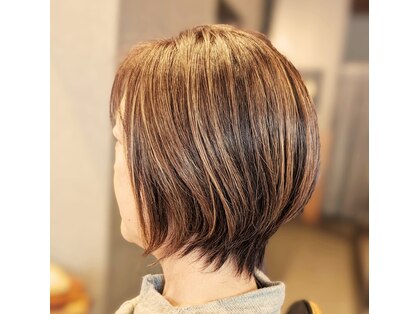 ジャドールの写真