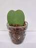 【ネット予約×でもご案内可能な場合がございますのでお電話ください!】
