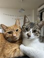 ハディーカヘアー(Hadeeca hair) 猫が大好きで猫を２匹飼っています猫好きな方お話ししましょう！