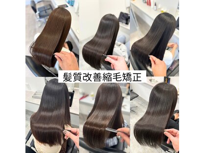 トイロ ウィステリア(toiro wisteria)の写真