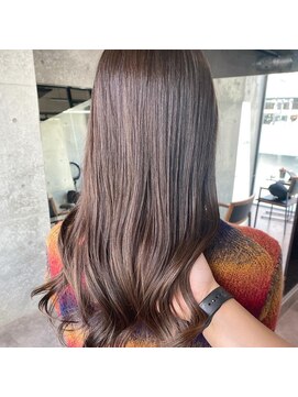 ヴェーレン(Wehlen) ココアブラウン